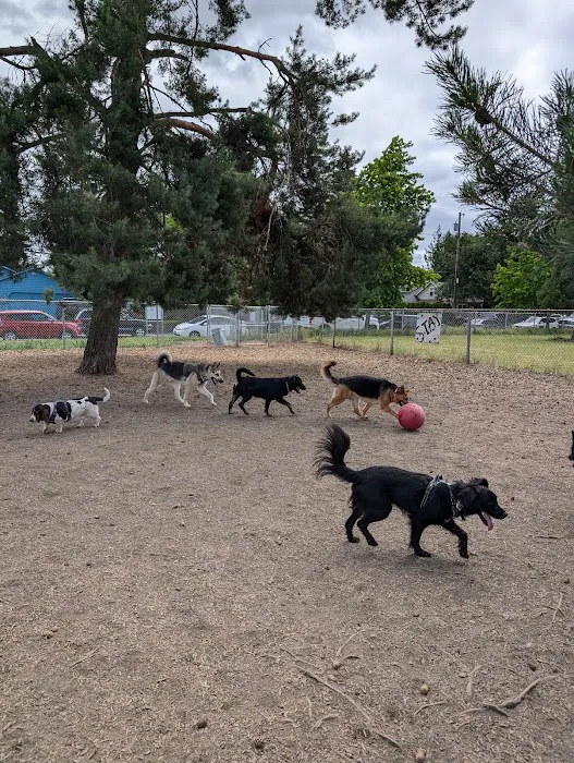 Off-Leash Dog Area 9