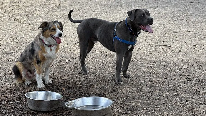Off-Leash Dog Area 1
