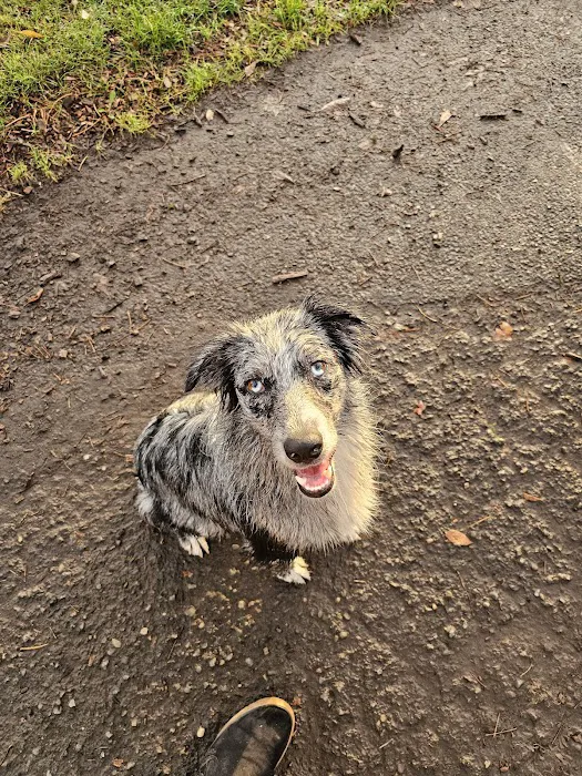 Off-Leash Dog Area 8