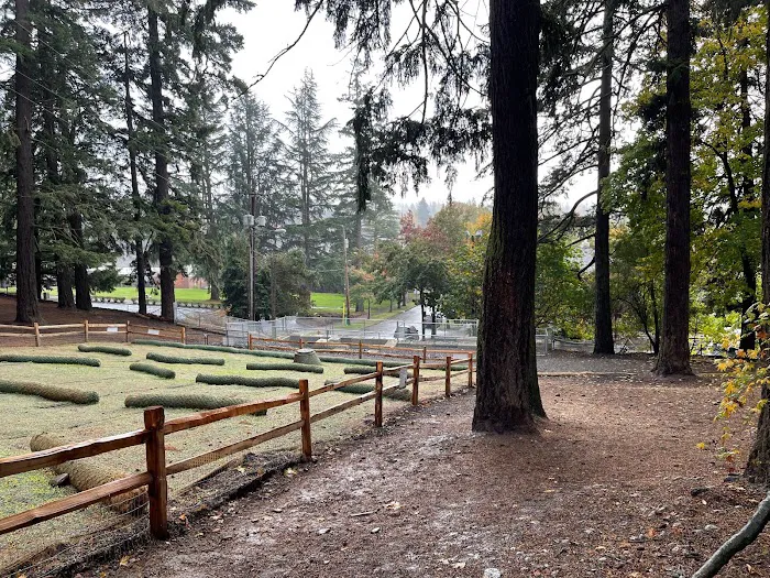 Mt Tabor Park Off-Leash Dog Area 1