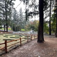 Mt Tabor Park Off-Leash Dog Area ico