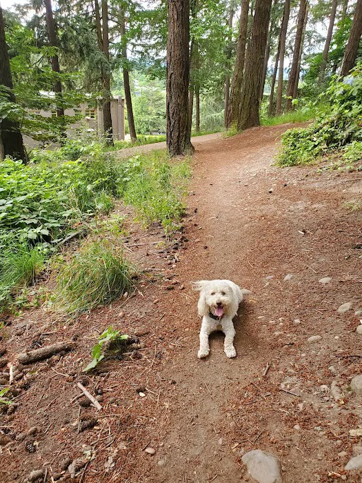Mt Tabor Park Off-Leash Dog Area 4