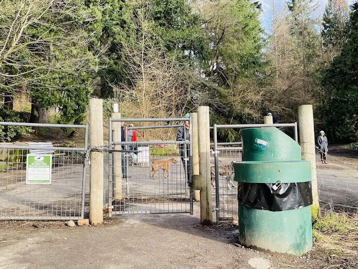 Mt Tabor Park Off-Leash Dog Area 9