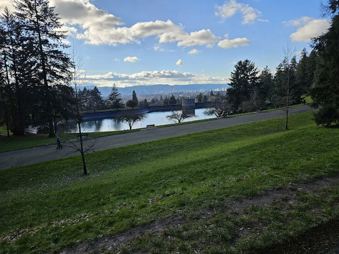 Mt Tabor Park Off-Leash Dog Area 6