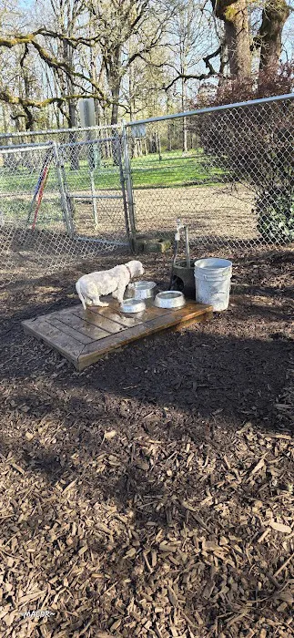North Clackamas Parks and Recreation Off-Leash Dog Park 1