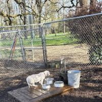 North Clackamas Parks and Recreation Off-Leash Dog Park ico