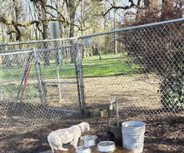 North Clackamas Parks and Recreation Off-Leash Dog Park