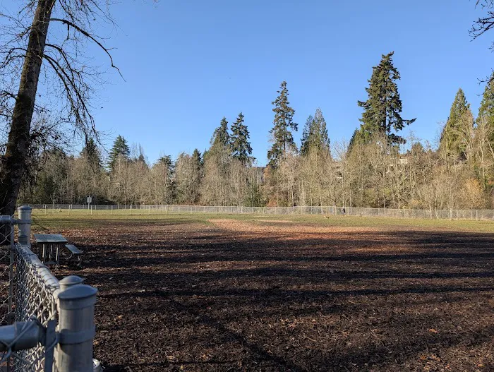 North Clackamas Parks and Recreation Off-Leash Dog Park 3