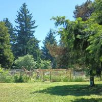 Lents Park Off-Leash Dog Area ico