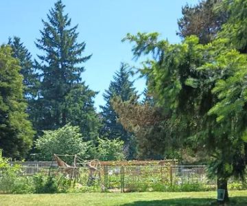 Lents Park Off-Leash Dog Area