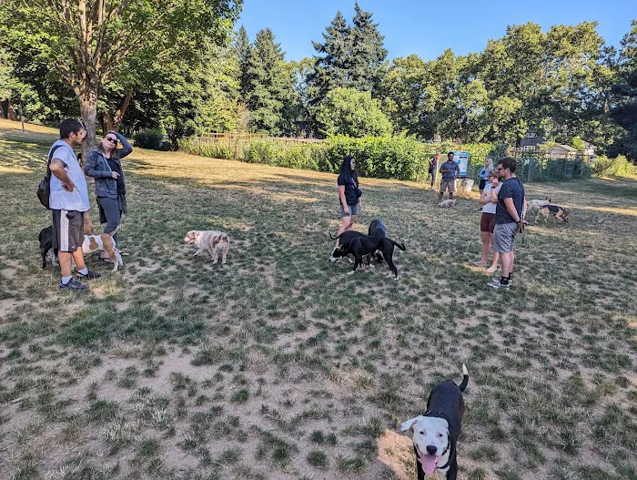 Lents Park Off-Leash Dog Area 7