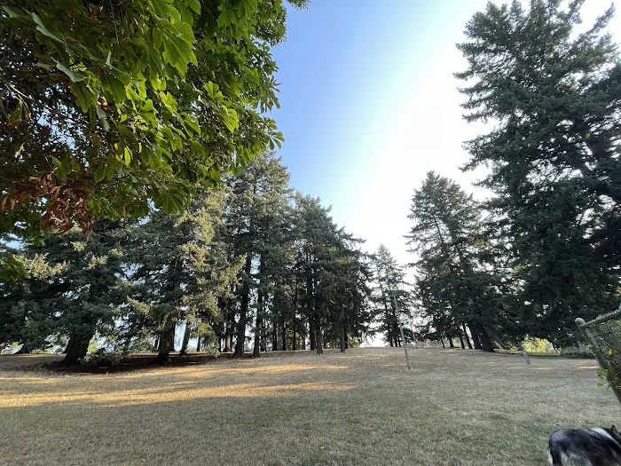 Lents Park Off-Leash Dog Area 5