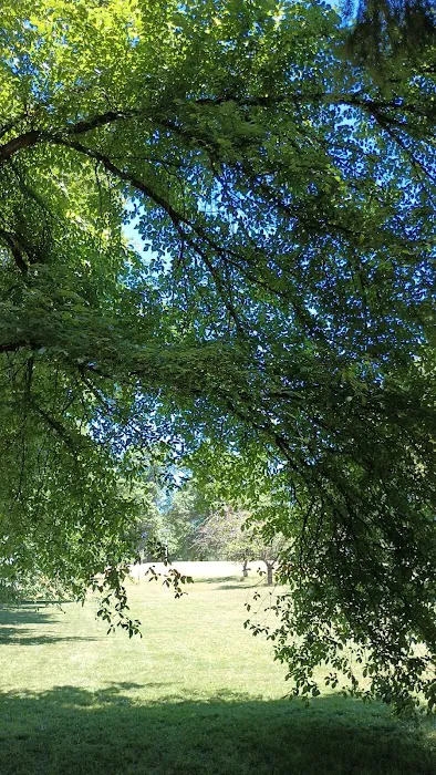 Lents Park Off-Leash Dog Area 3