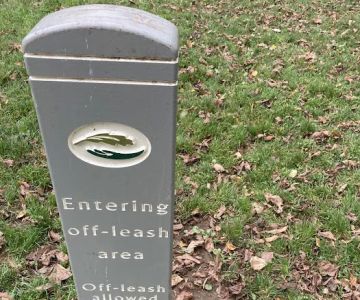 Dog Off-Leash Area