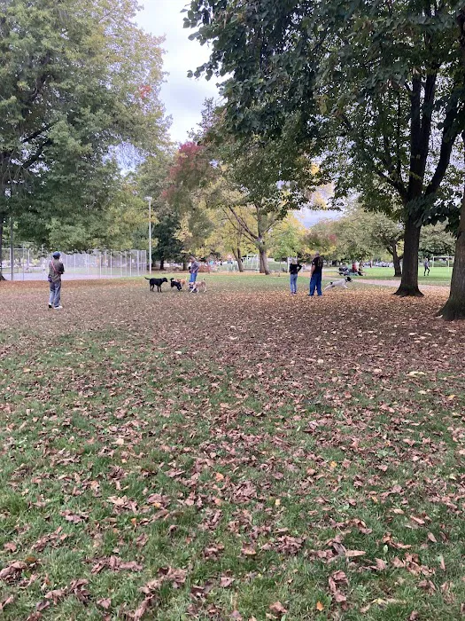 Dog Off-Leash Area 2