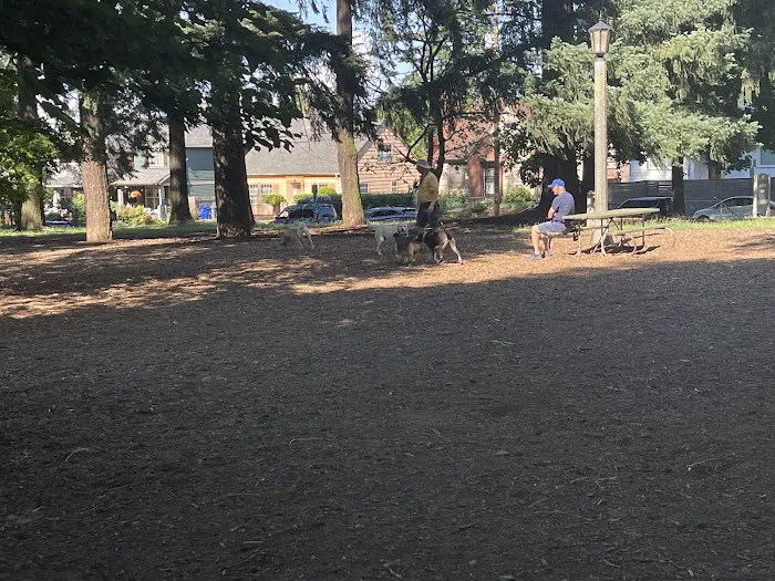 Alberta Unfenced Off-Leash Dog Park 8