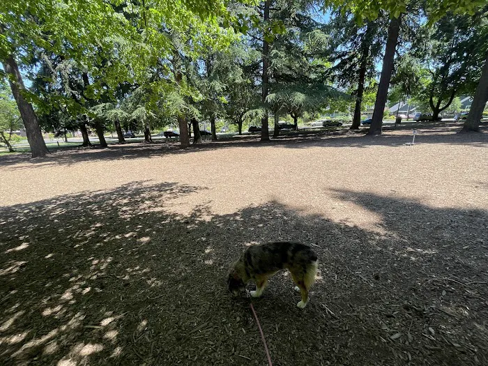 Off-Leash Dog Area 7