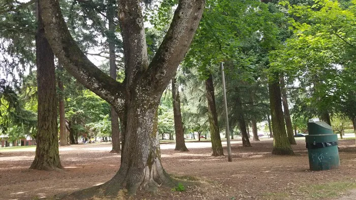 Off-Leash Dog Area 3