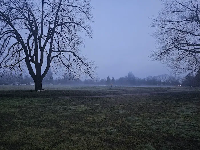 Off-Leash Dog Park 2