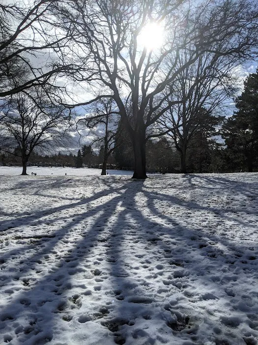 Off-Leash Dog Park 8