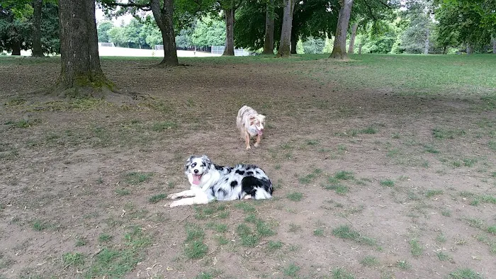 Off-Leash Dog Park 5