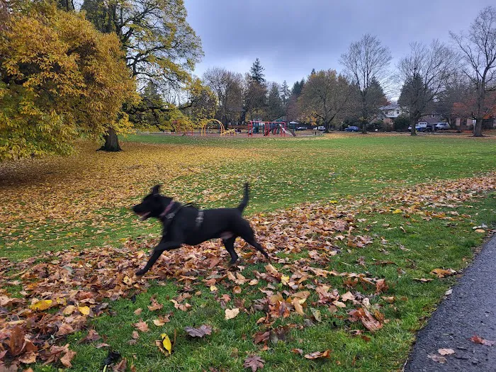 Off-Leash Dog Park 6