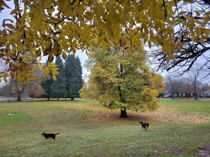 Off-Leash Dog Park 9
