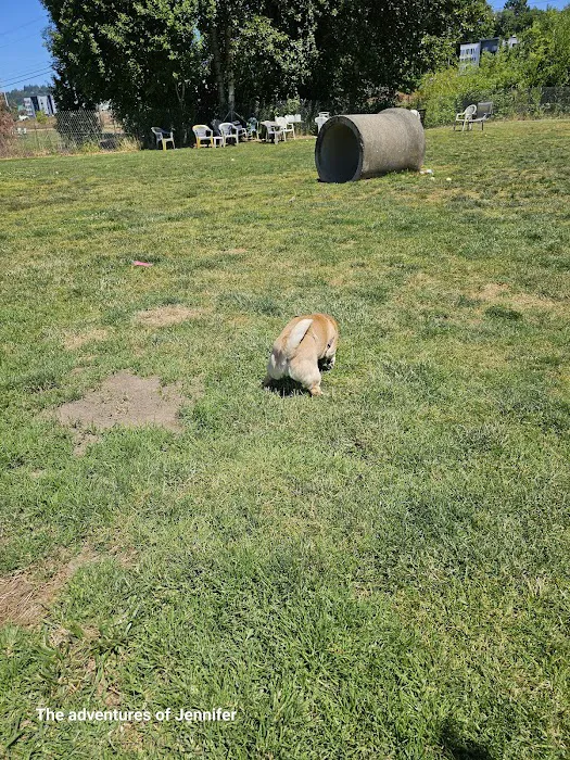 Potso Dog Park 3
