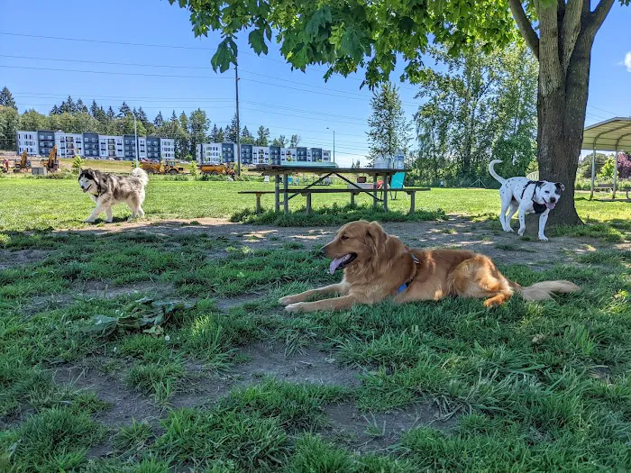 Potso Dog Park 10