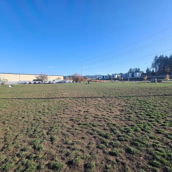 Potso Dog Park 8