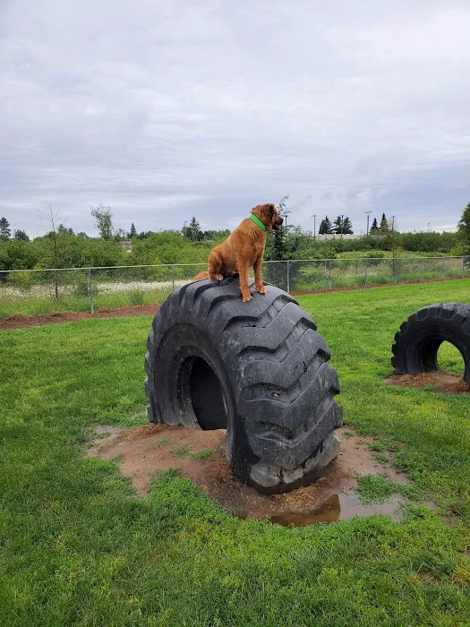 Potso Dog Park 5