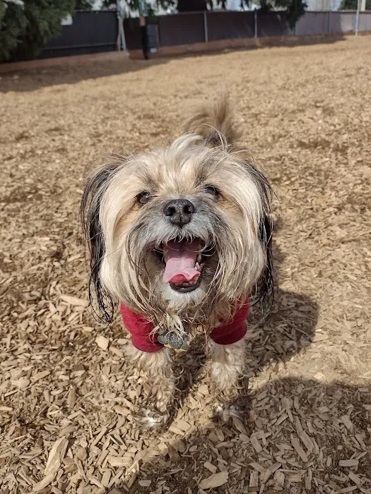 Ash Avenue Dog Park 1
