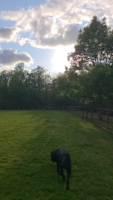 Waluga Dog Park 1
