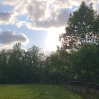 Waluga Dog Park ico