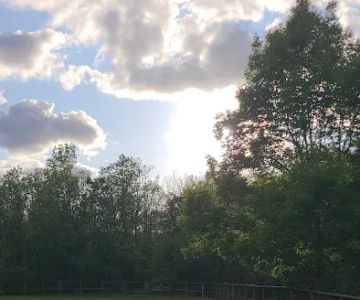 Waluga Dog Park