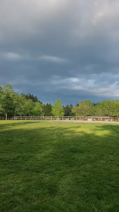 Waluga Dog Park 6