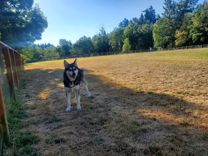Waluga Dog Park 10