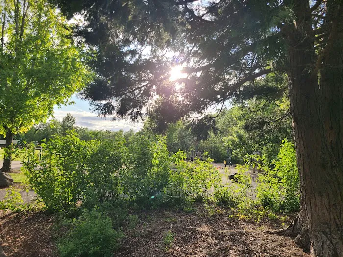Waluga Dog Park 4