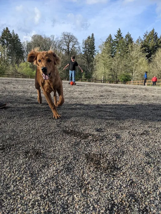 Waluga Dog Park 3
