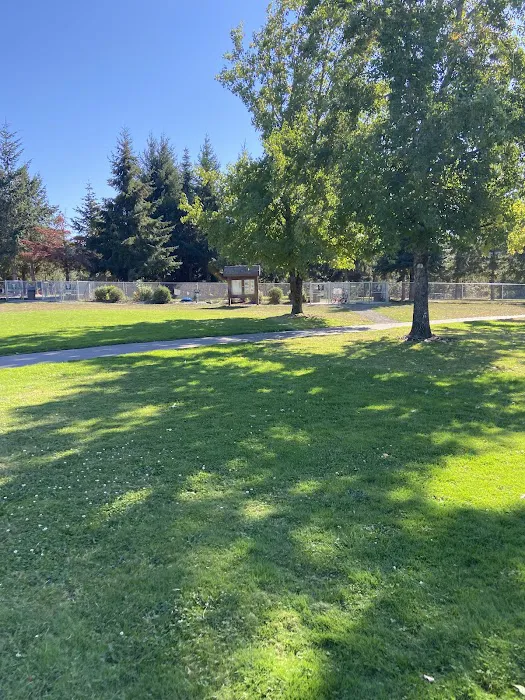 Dog Park 6