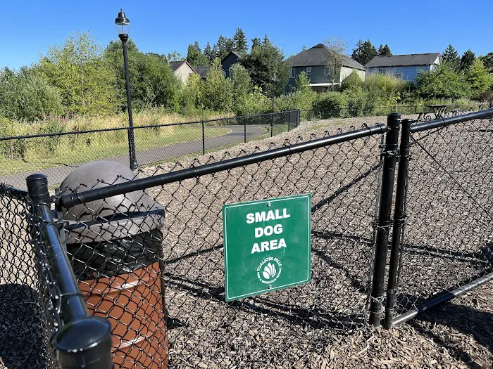 Dog Park 8