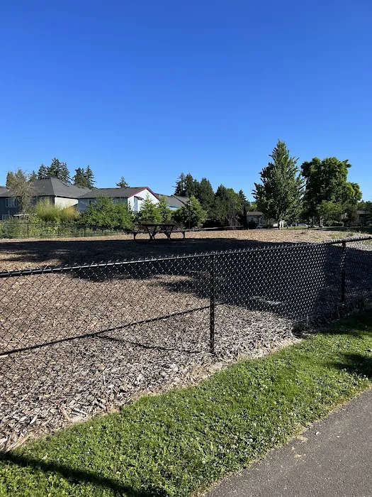 Dog Park 4