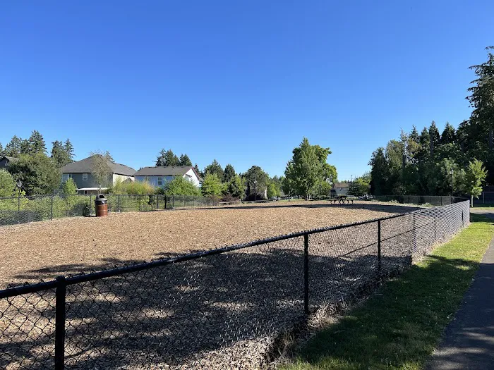 Dog Park 7