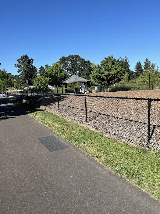 Dog Park 3