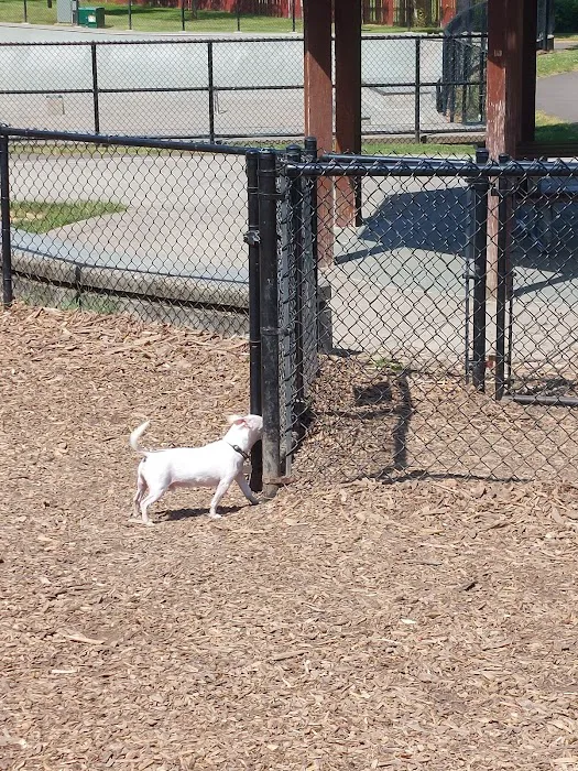 Dog Park 10
