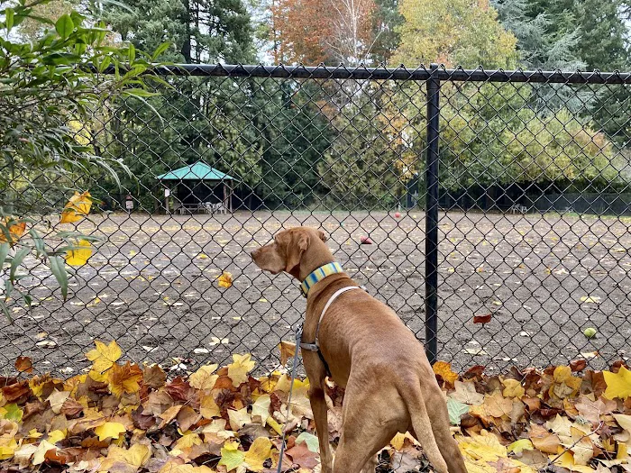 Summerlake Dog Park 7