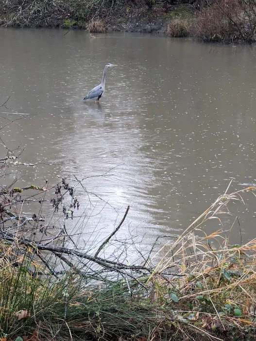 Summerlake Dog Park 1