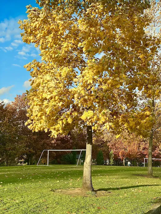 Summerlake Dog Park 8