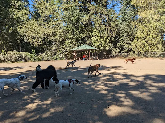 Summerlake Dog Park 5