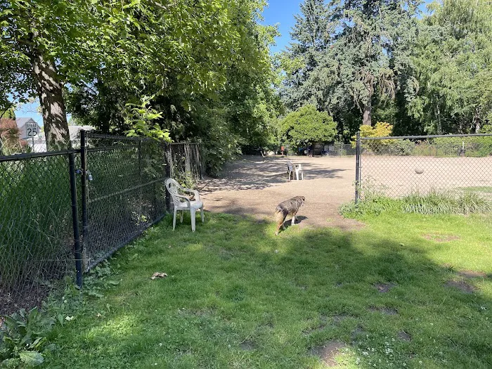 Summerlake Dog Park 9